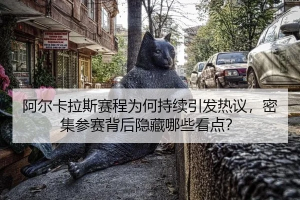 阿尔卡拉斯赛程为何持续引发热议，密集参赛背后隐藏哪些看点？